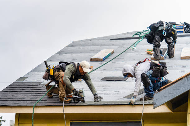 Professional Roof Replacement technician working in Dunmor, KY
